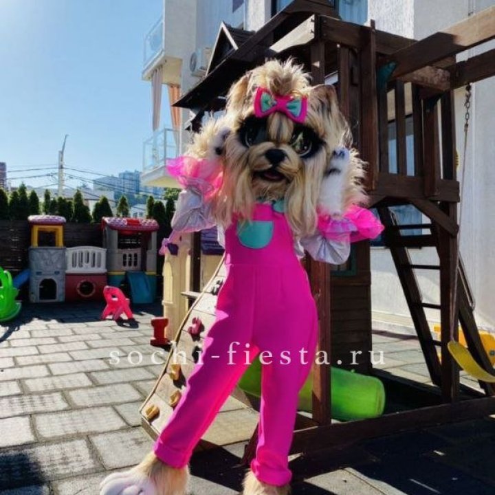 Аниматор Гламурная Собака в Севастополи