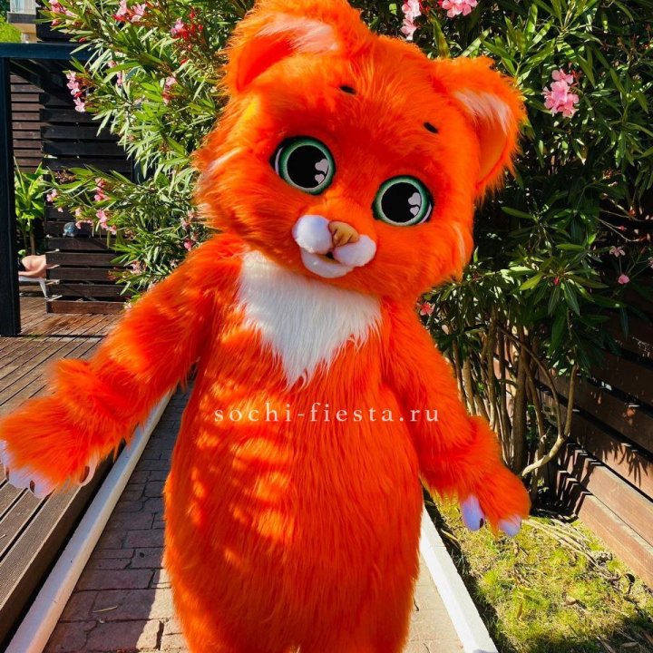 Аниматор Котик в Севастополи