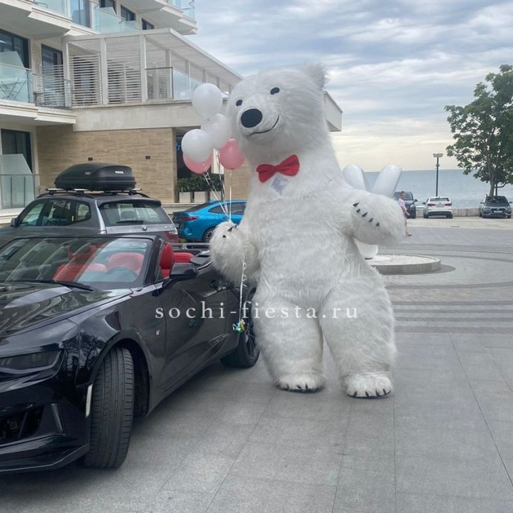 Аниматор Белый Медведь в Севастополи