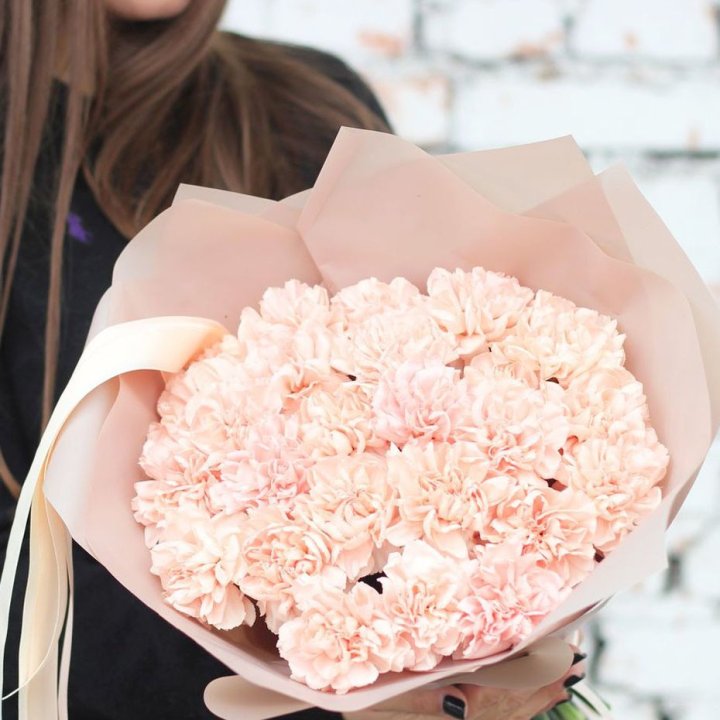 Диантусы №2 в Севастополи