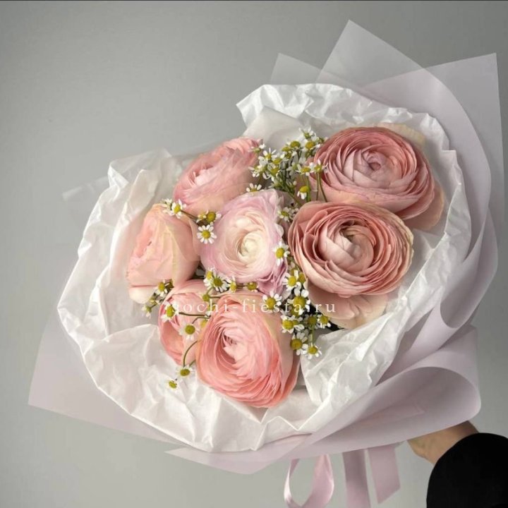 Ранункулюсы с ромашками в Севастополи