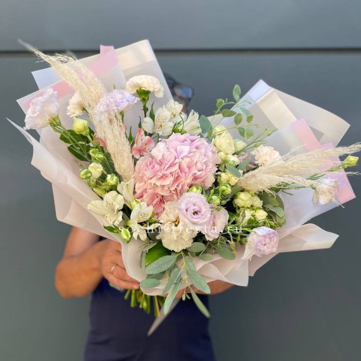 Гортензия "Пинк флоид" в Севастополи