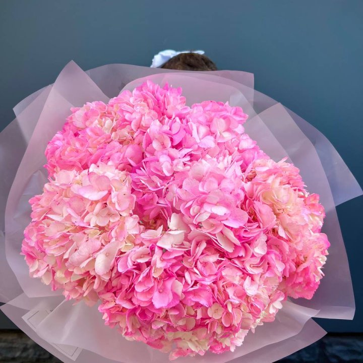 9 ярко розовых гортензий в Севастополи