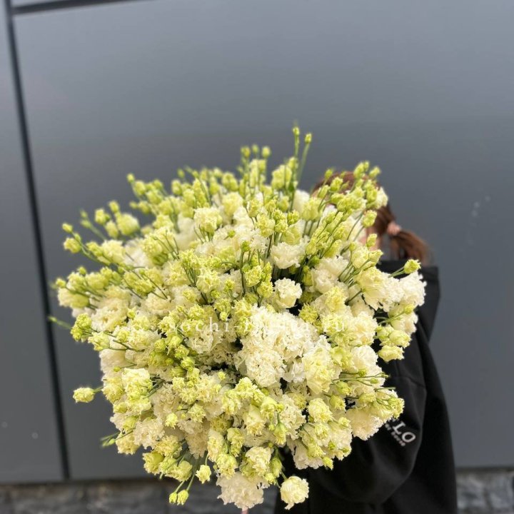 51 белая эустома в Севастополи