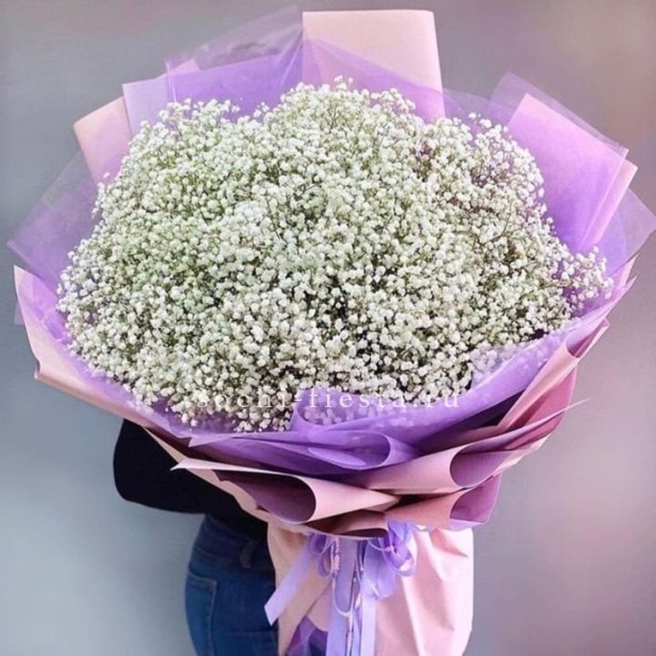 Облако белых гипсофил в Севастополи