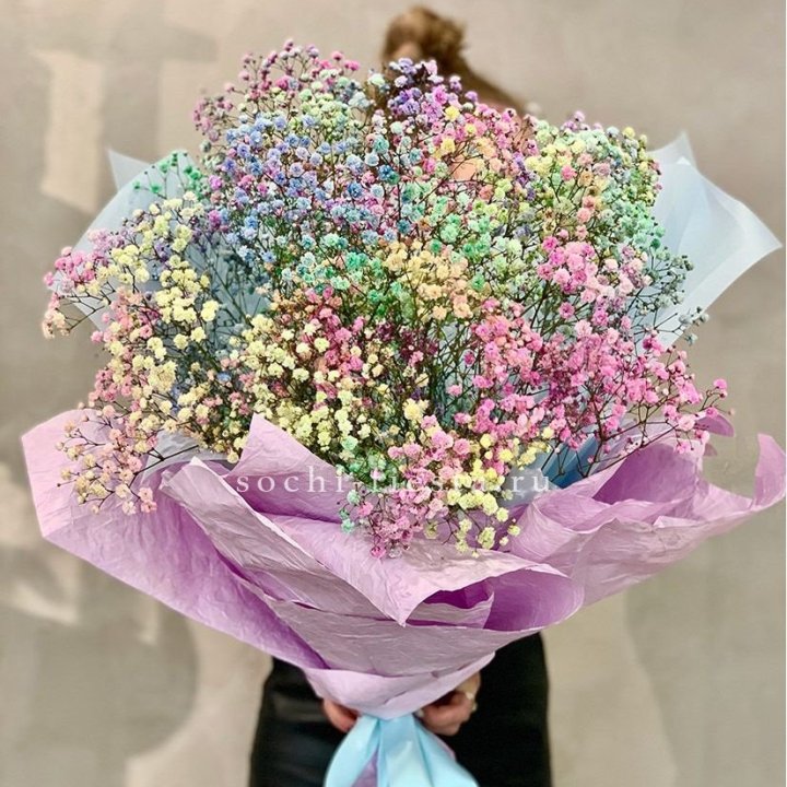 Радужные гипсофилы №2 в Севастополи