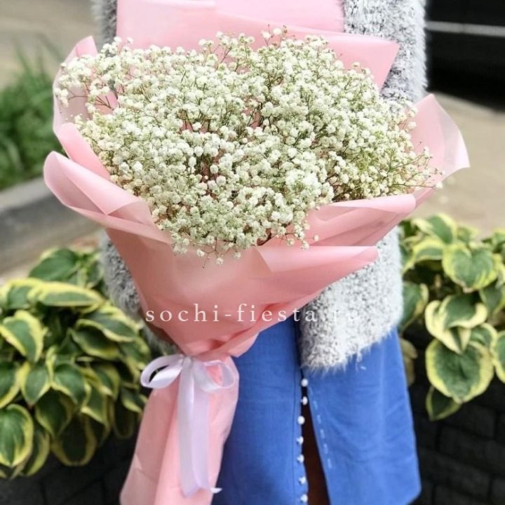 Белоснежные гипсофилы в Севастополи