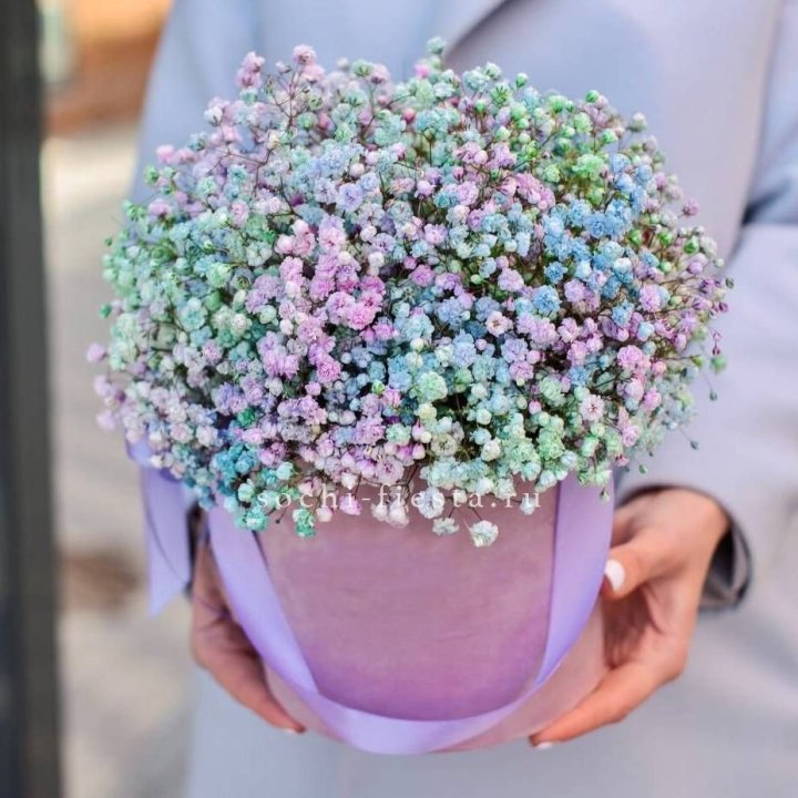 Гипсофилы в шляпной коробке "Кандилайт" в Севастополи