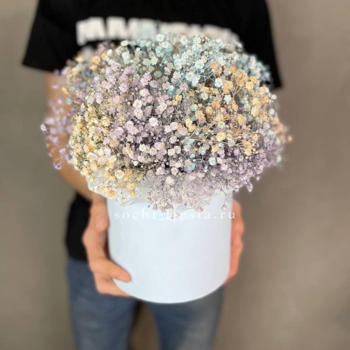 9 Радужных гипсофил в шляпной коробке в Севастополи