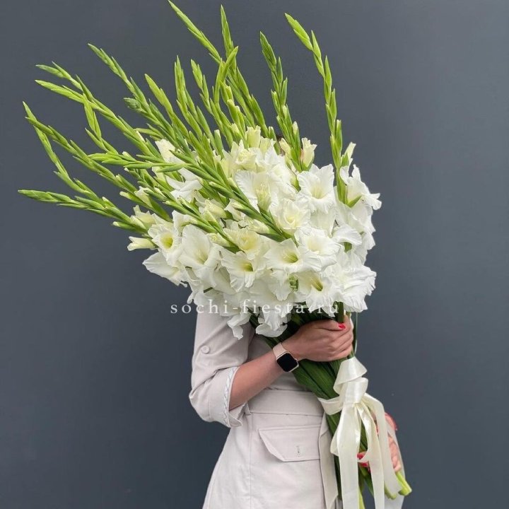 19 белых гладиолусов под ленту в Севастополи