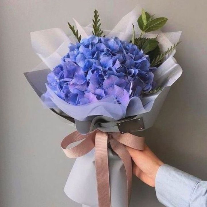 Гортензия голубая в Севастополи