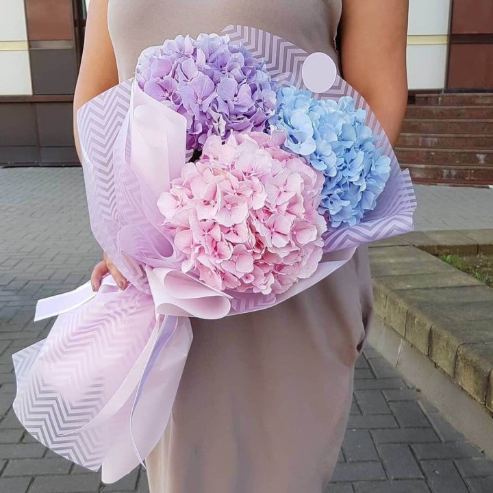 Букет гортензий "Пуф" в Севастополи