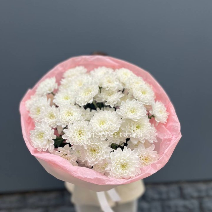  5 хризантем  в Севастополи