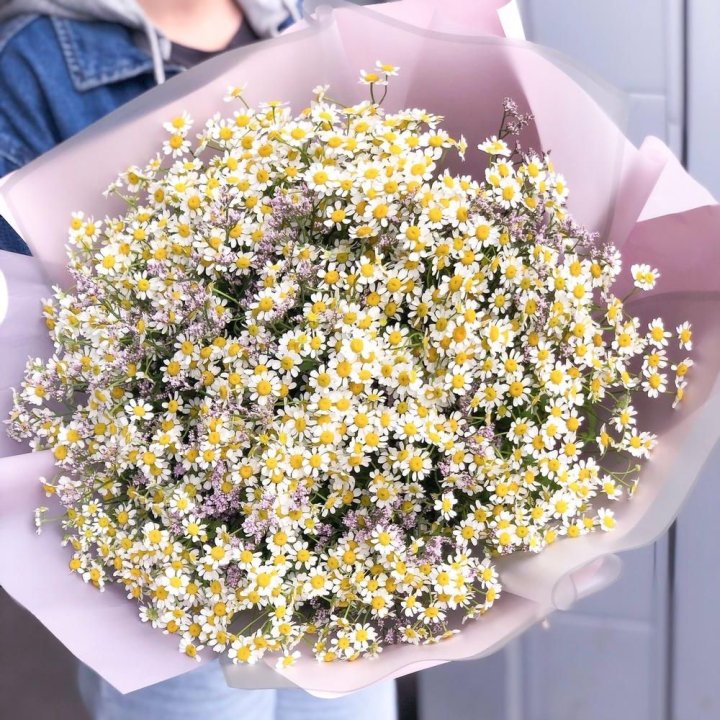 Букет ромашек №1 в Севастополи
