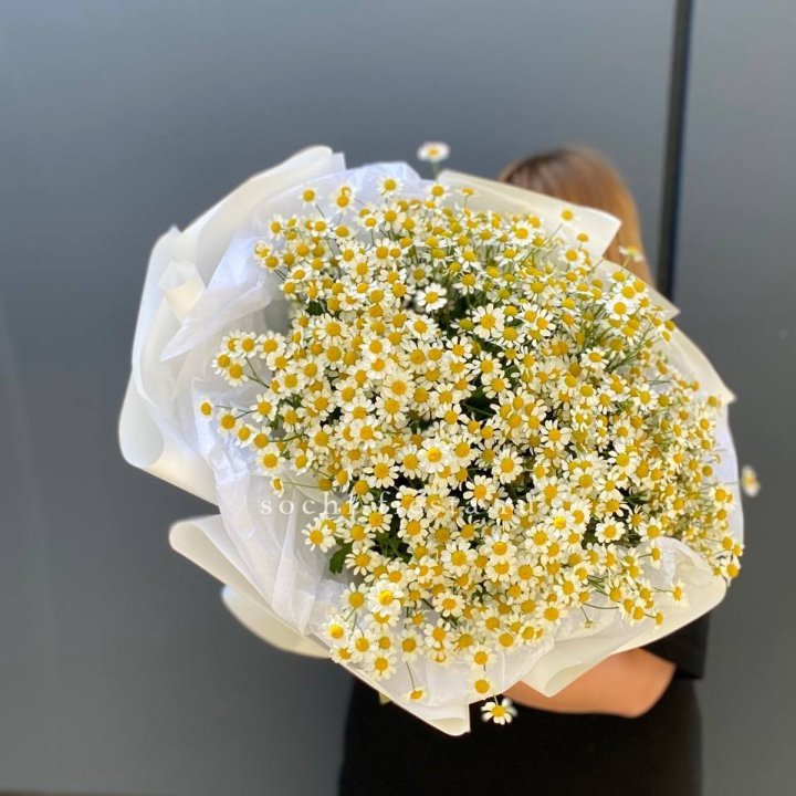 Букет ромашек "Фемели" в Севастополи