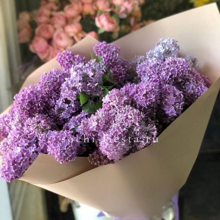 Букет сирени №2 в Севастополи