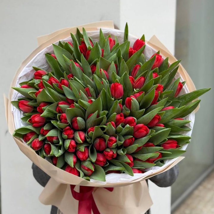 101 красный тюльпан в Севастополи