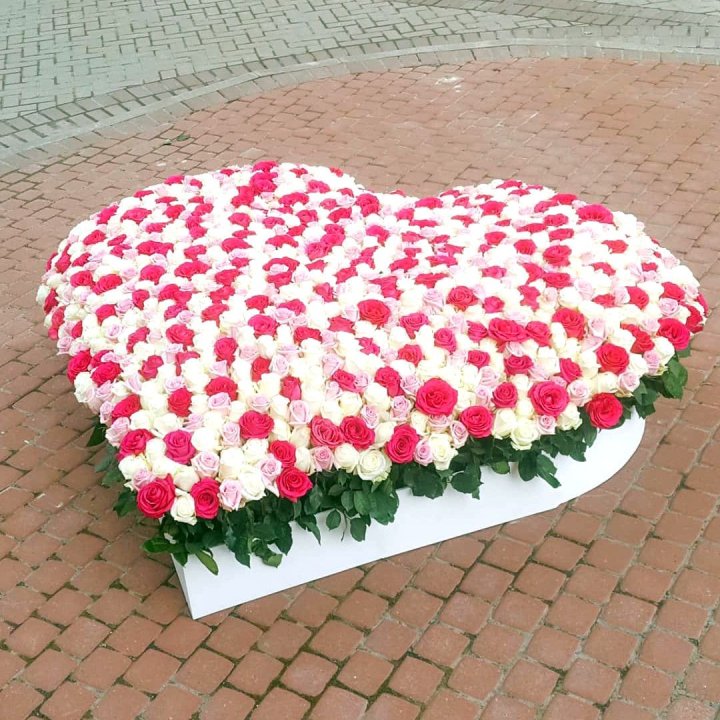 555 роза  в Севастополи