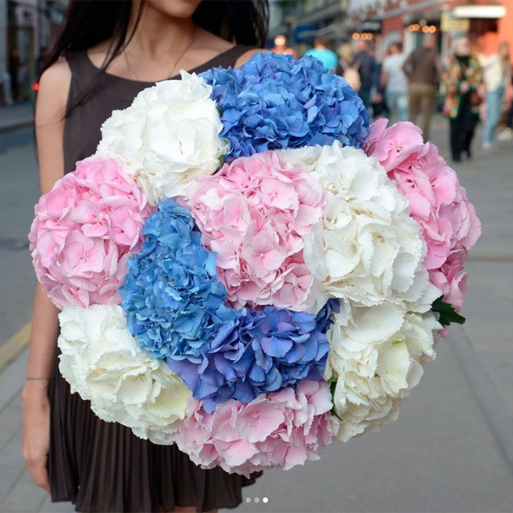 Букет гортензий "Инь-Янь" в Севастополи