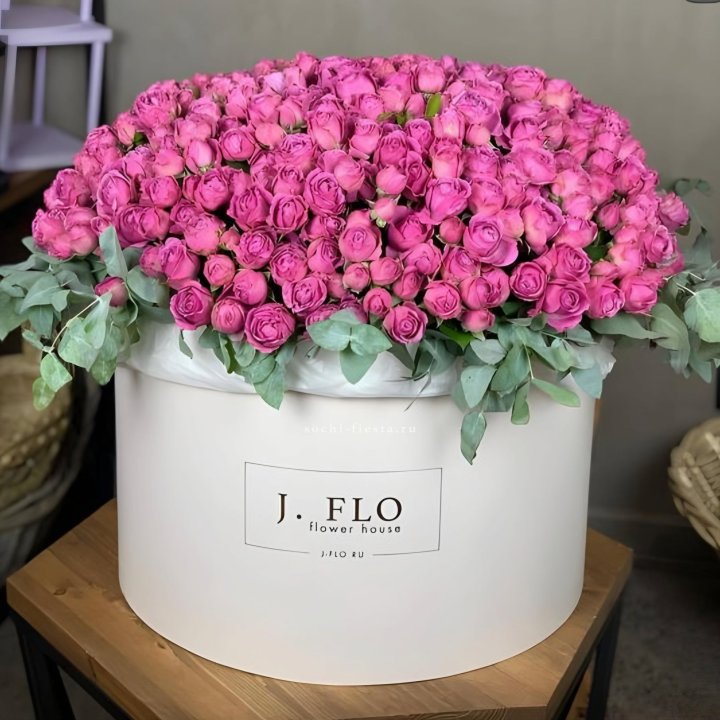 Цилиндр с Мисти Бабблс  в Севастополи