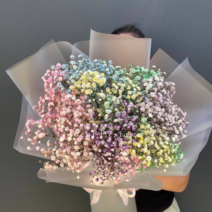 Радужные гипсофилы  в Севастополи