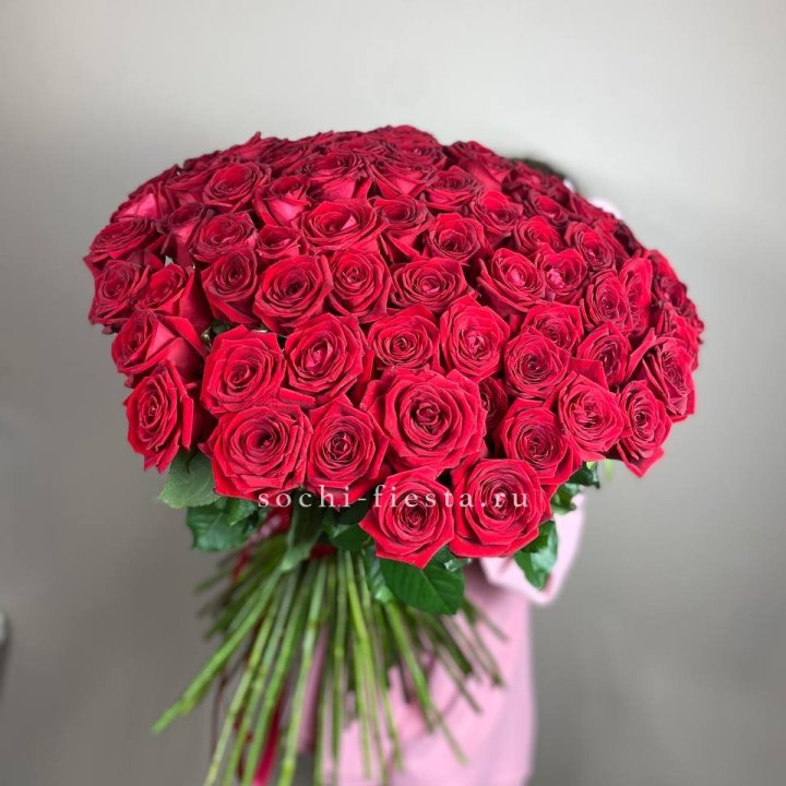 101  голландская роза  в Севастополи