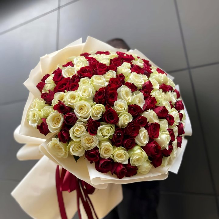 101 высокая импортная роза  в Севастополи