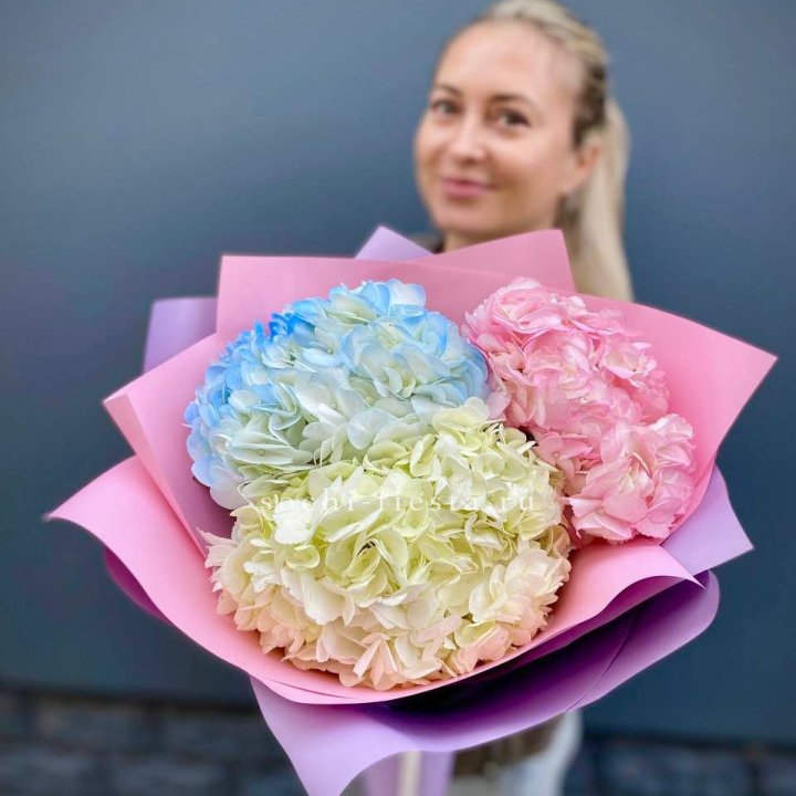 Букет гортензий "Тоника" в Севастополи