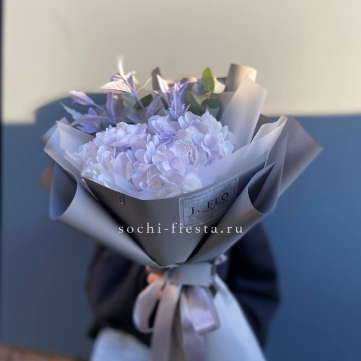 Гортензия "Виолета" в Севастополи