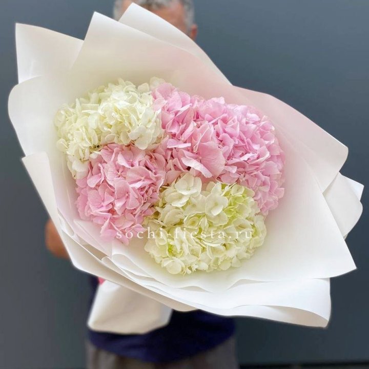 Букет гортензий №5 в Севастополи