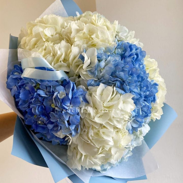 Букет гортензий "Голубая лаза" в Севастополи
