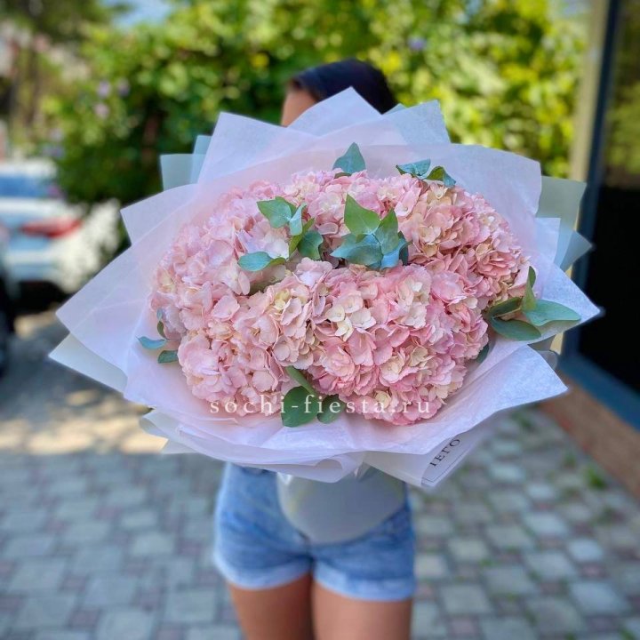 5 розовых гортензий  в Севастополи