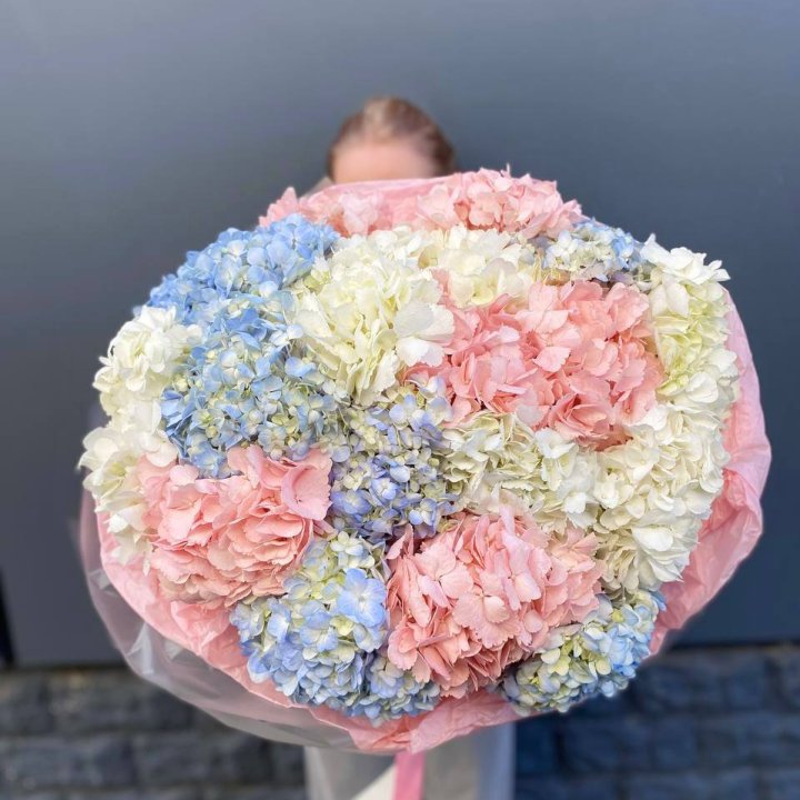 19 гортензий микс в Севастополи