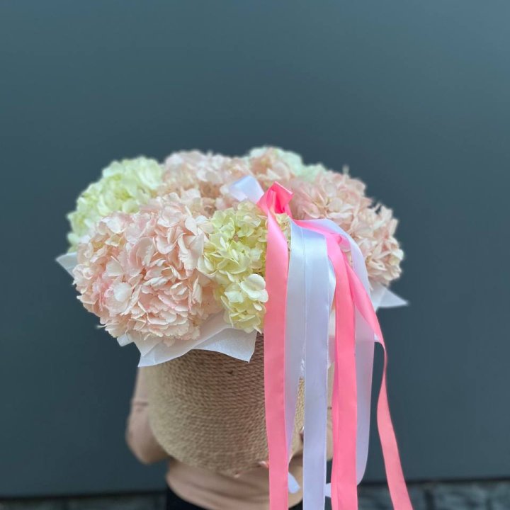 7 гортензий в кашпо в Севастополи