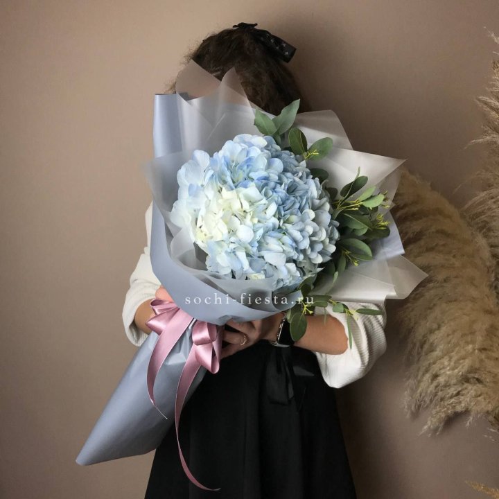 Гортензия Уно в Севастополи