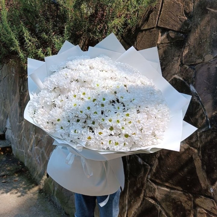 Облако хризантем №2 в Севастополи