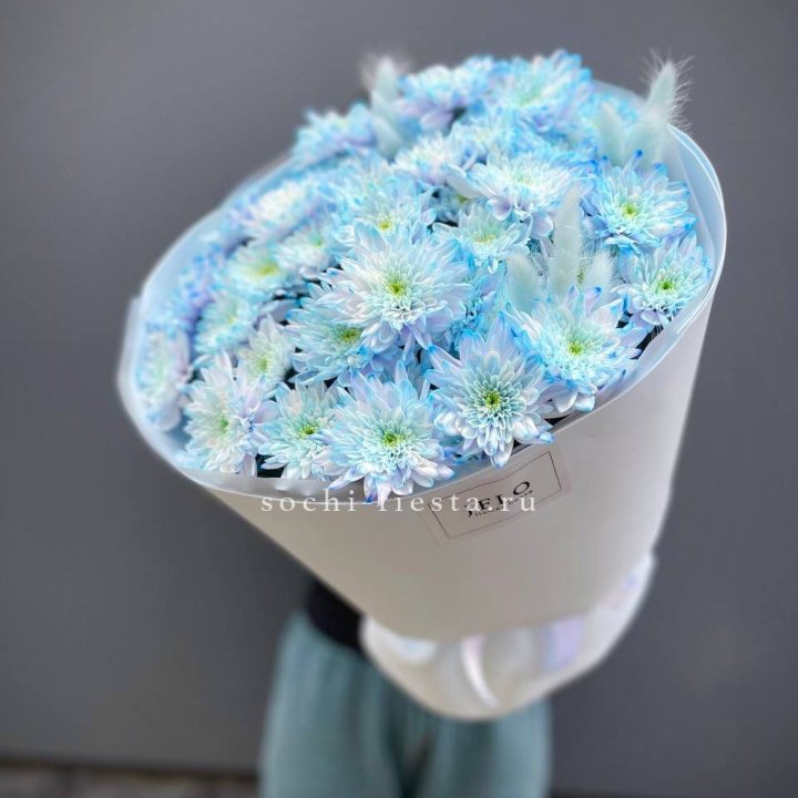  Букет нежно-голубых хризантем  в Севастополи