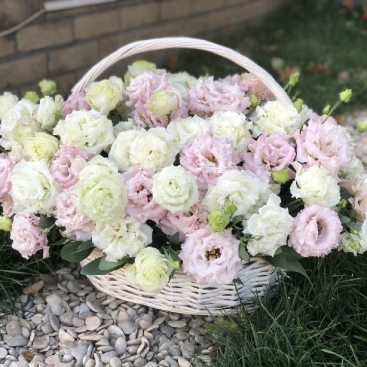 Корзина с эустомой в Севастополи