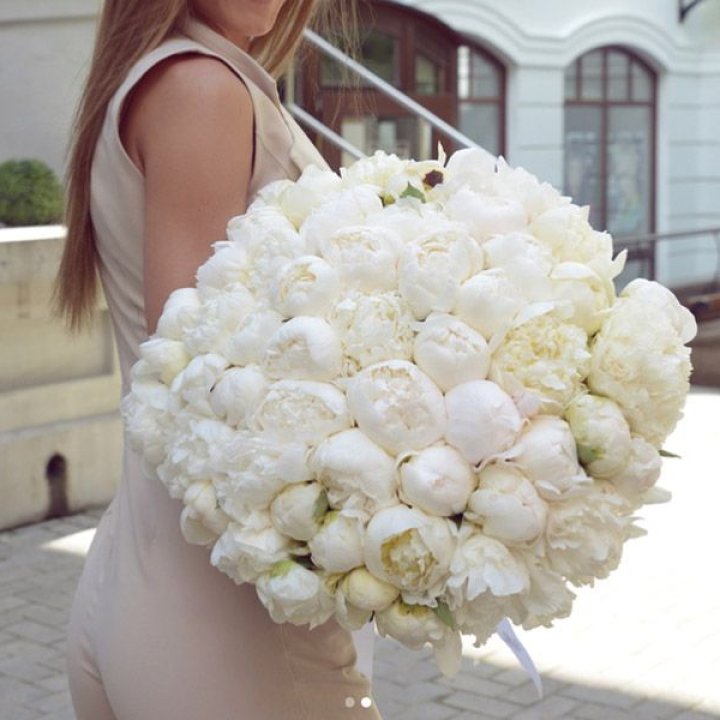 51 белый пион в Севастополи