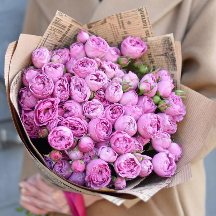 Роза Мисти Баблс в Севастополи