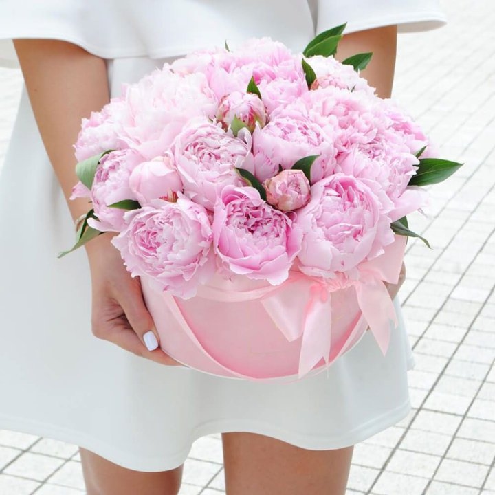 Пионы в шляпной коробке в Севастополи