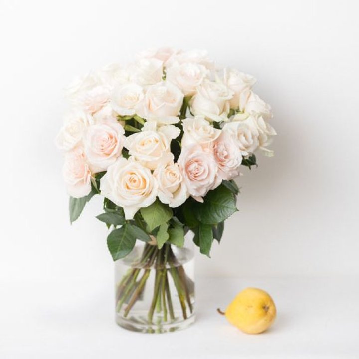 25 кремовых роз в Севастополи