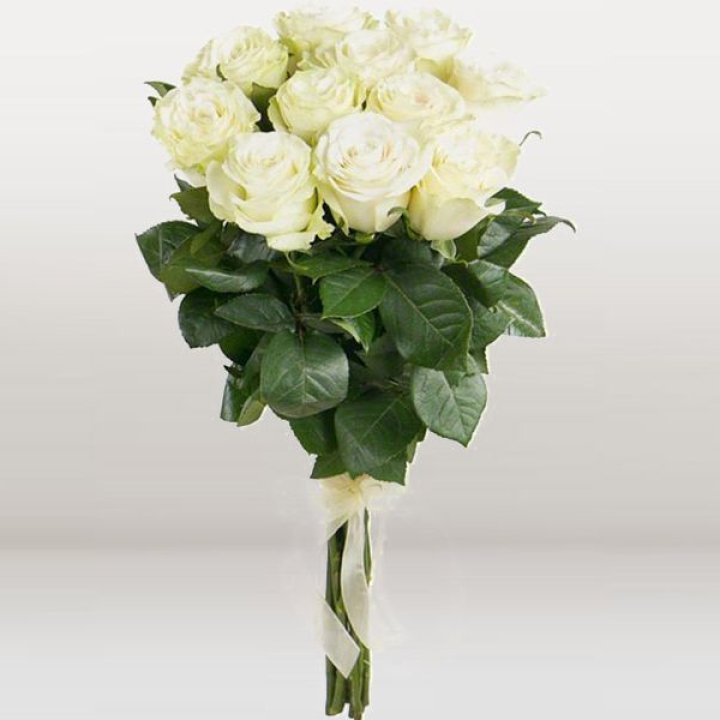 11 белых голландских роз в Севастополи