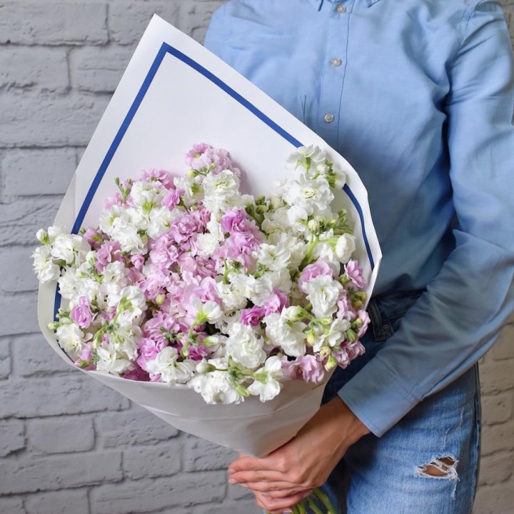 Маттиола в Севастополи