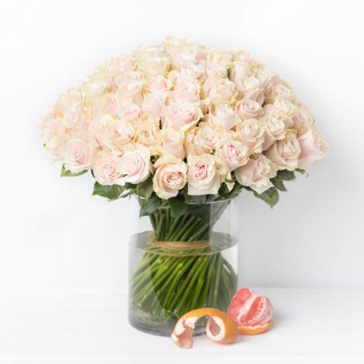 101 кремовая роза в Севастополи