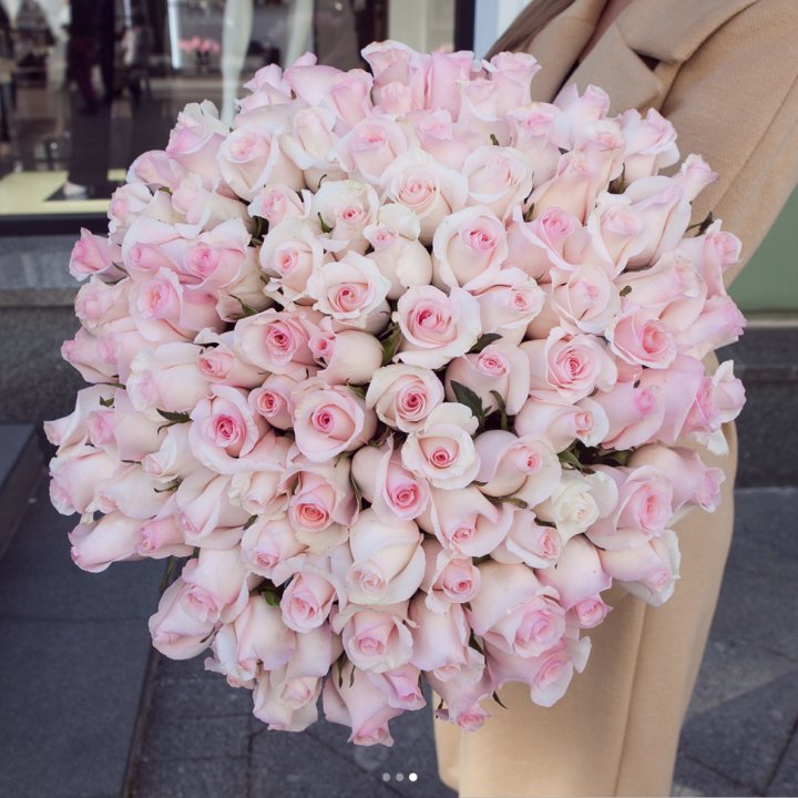 Розы "Пинк бум" в Севастополи