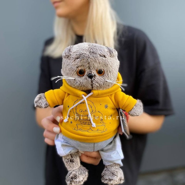 Кот Басик в худи в Севастополи