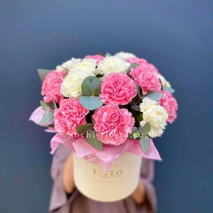 Диантусы в цилиндре в Севастополи