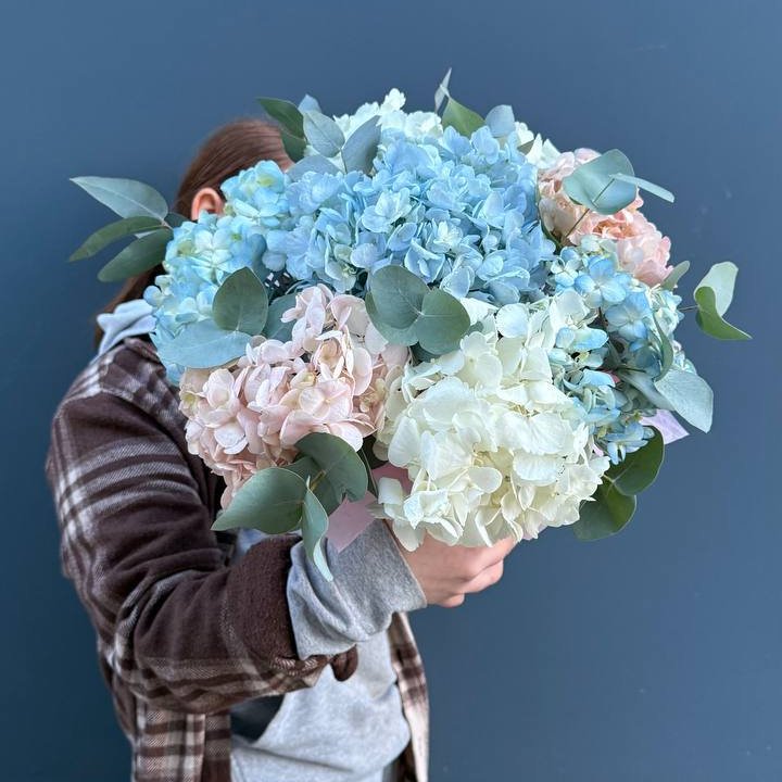 Гортензии в коробочке в Севастополи