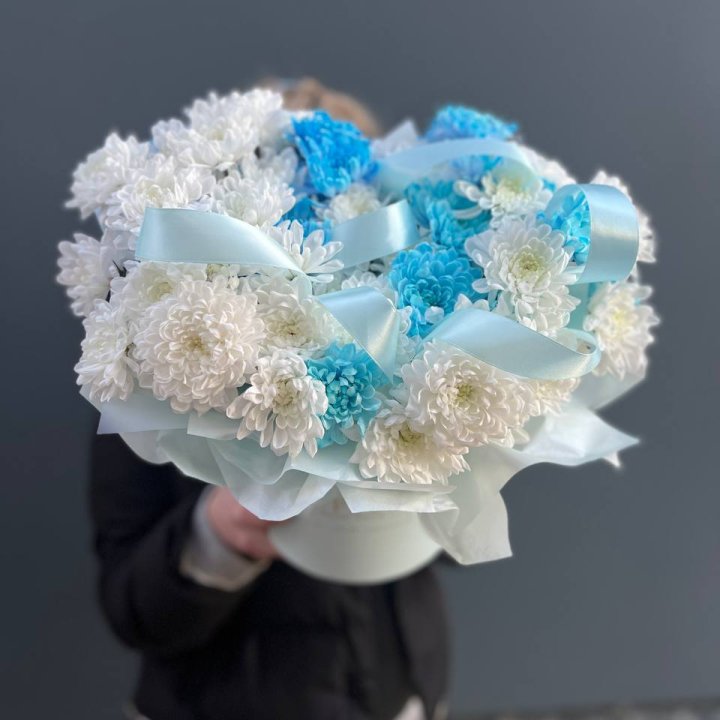 Хризнтемы в боксе в Севастополи